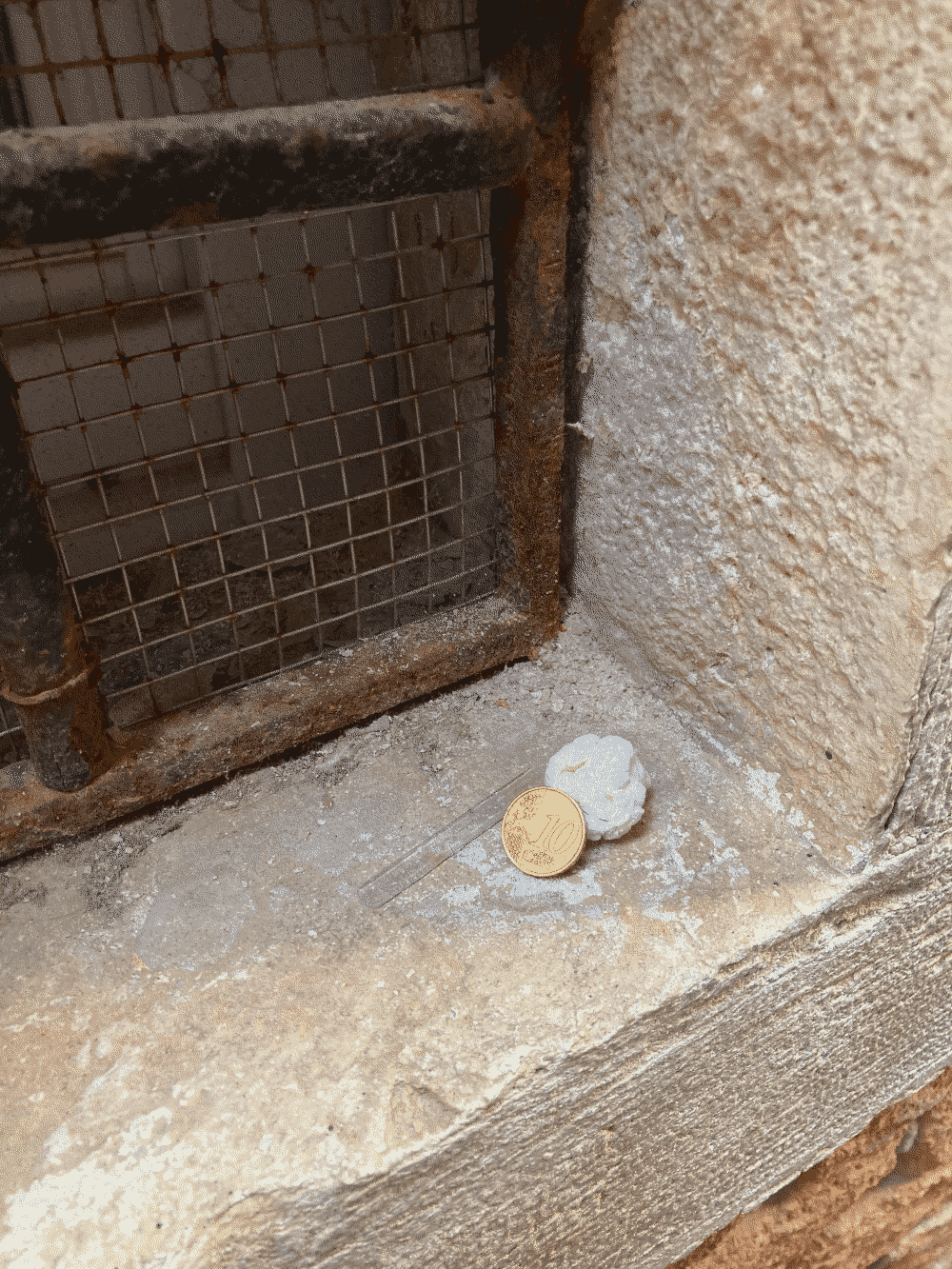 A coin rests against a balled-up napkin sitting on an external windowsill.