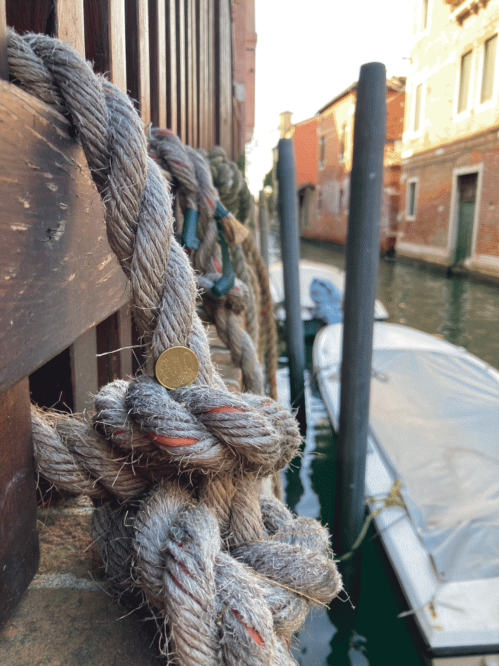 A coin sits in a cranny in knotted boat line tied up to the dock.