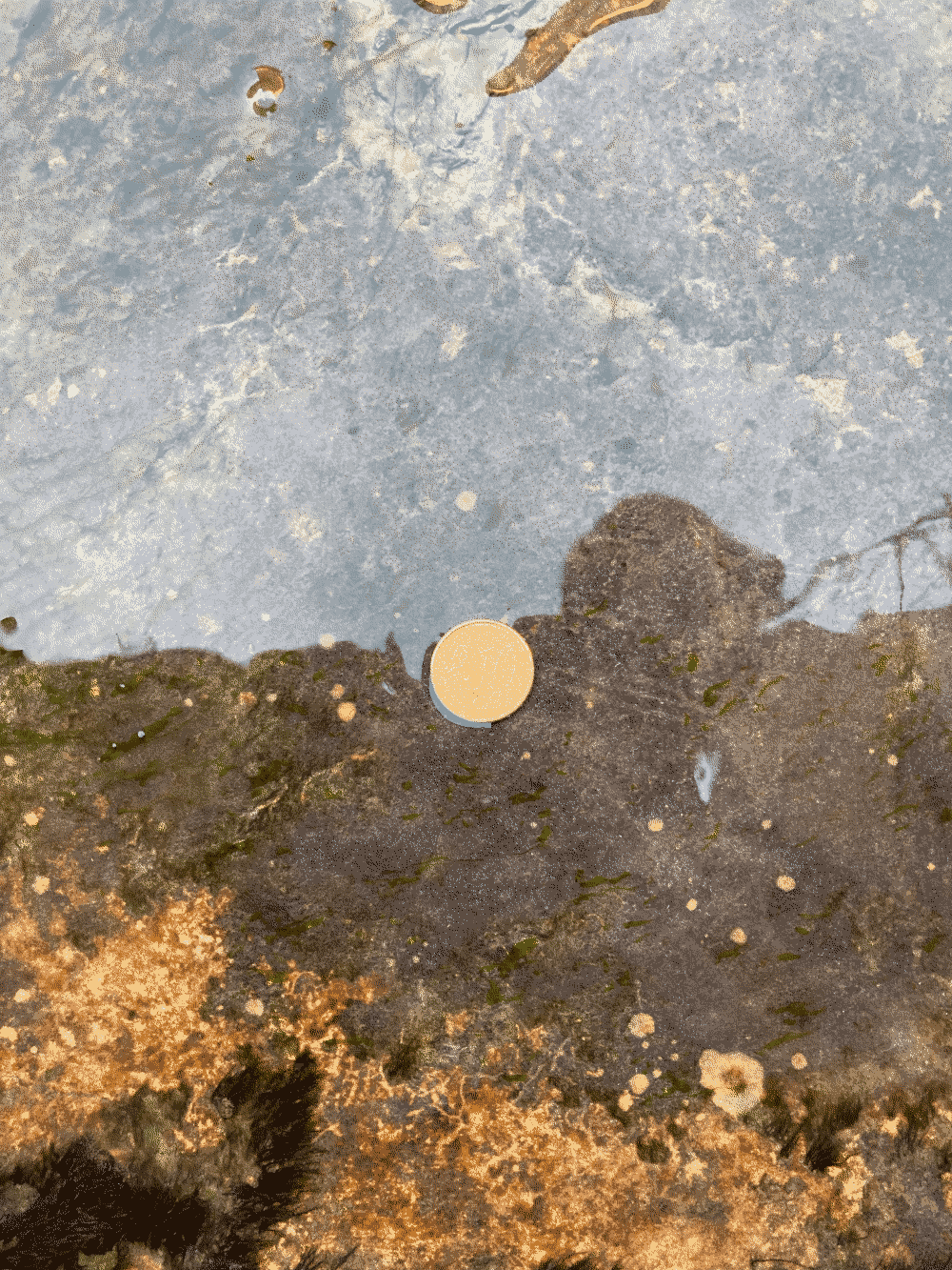 A coin sits an inch underwater on a stone step.