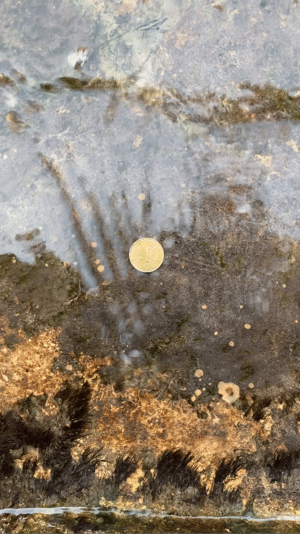A coin sits an inch underwater on a stone step - video version.