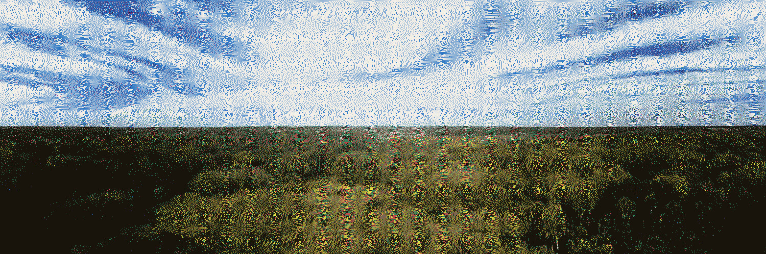 An unexpectedly beautiful view of central Florida.