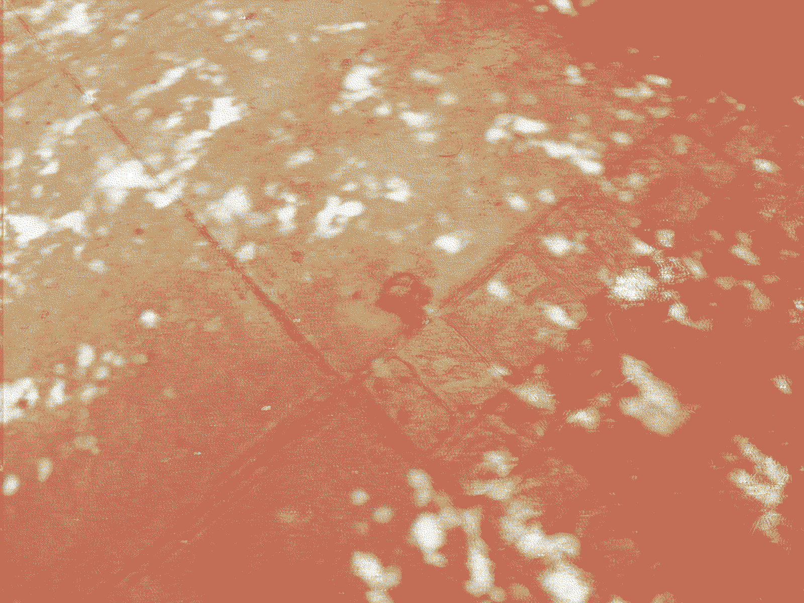 Edited to be a near-fluorescent orange, some shit on the sidewalk, which someone appears to have stepped in.