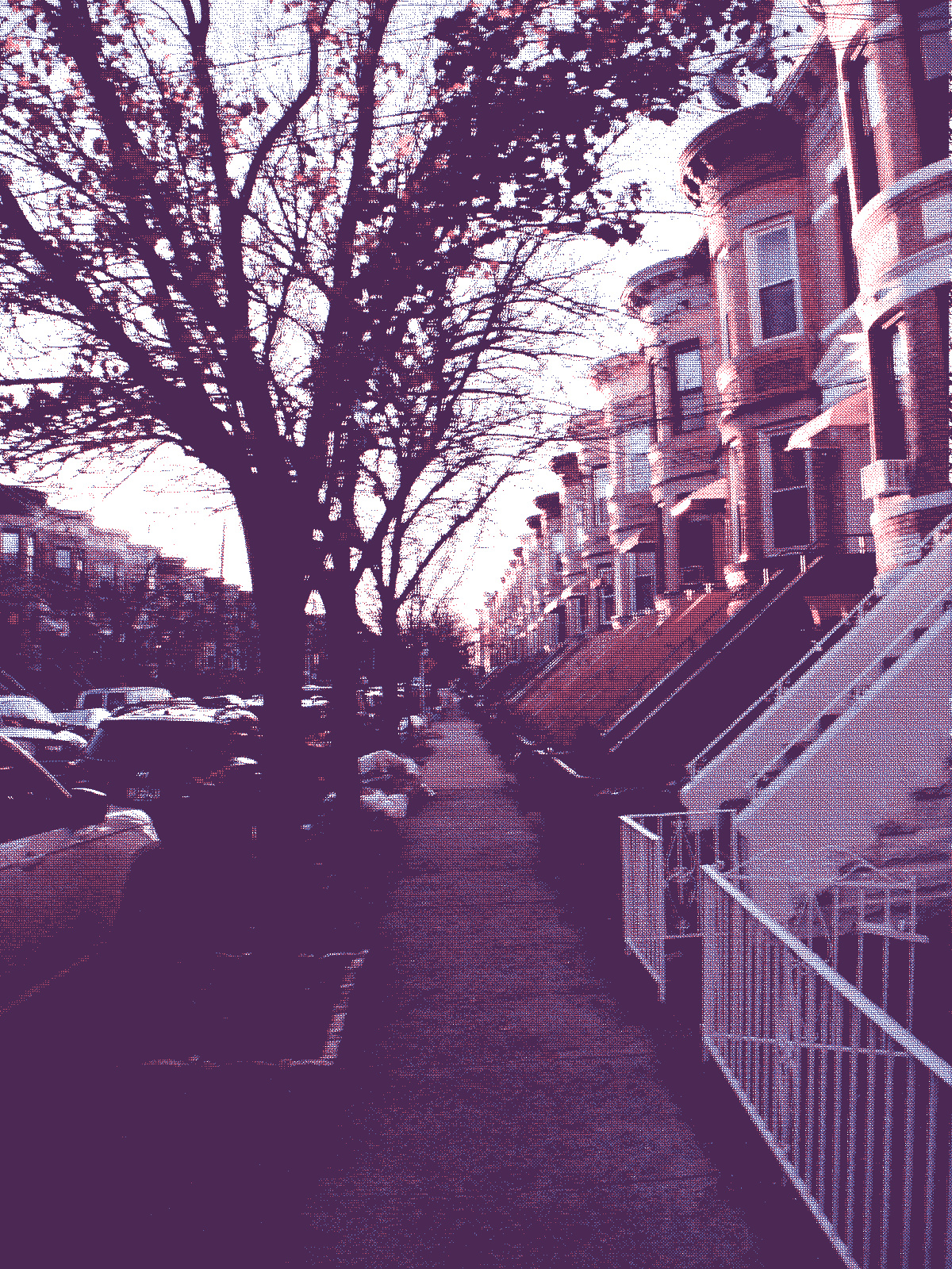 The view down 70th Street, apartment buildings with the sun on them to the right, sidewalk in the middle, trees and cars and the road to the left.