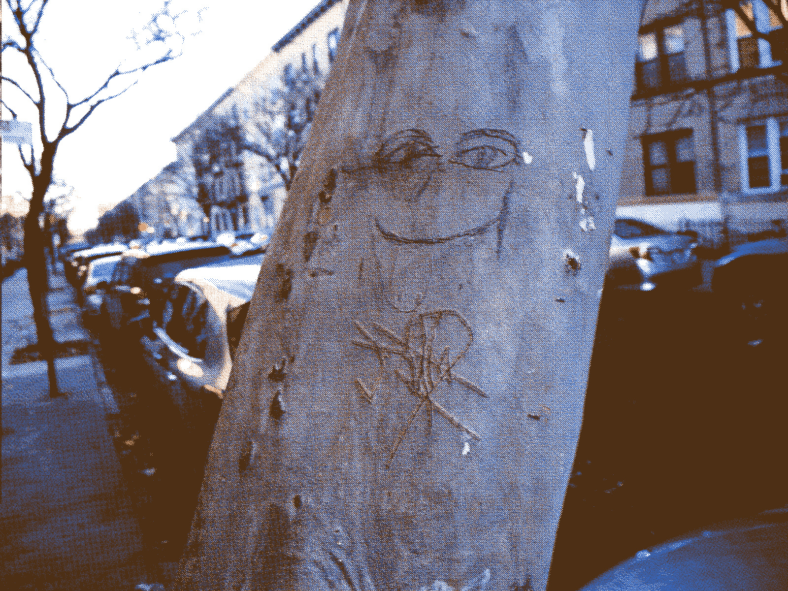 Someone carved a Pepe-the-Frog-ish smiley face into a tree.