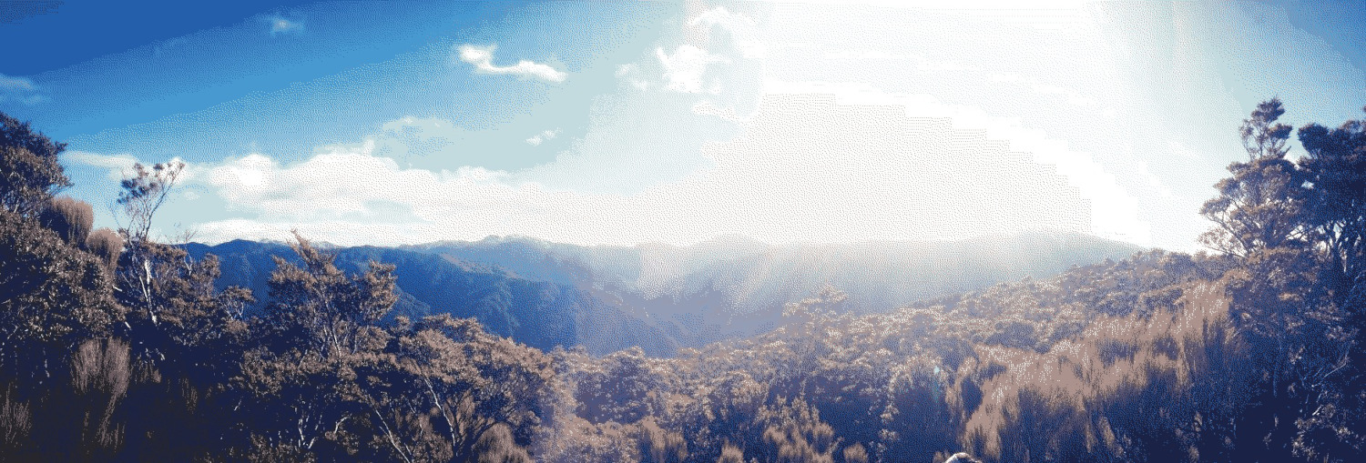 A sunny view while tramping north of Wellington.