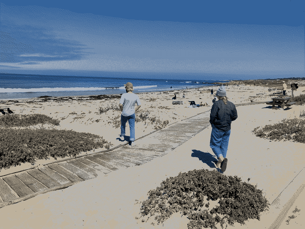 Two friends walking toward a beach.